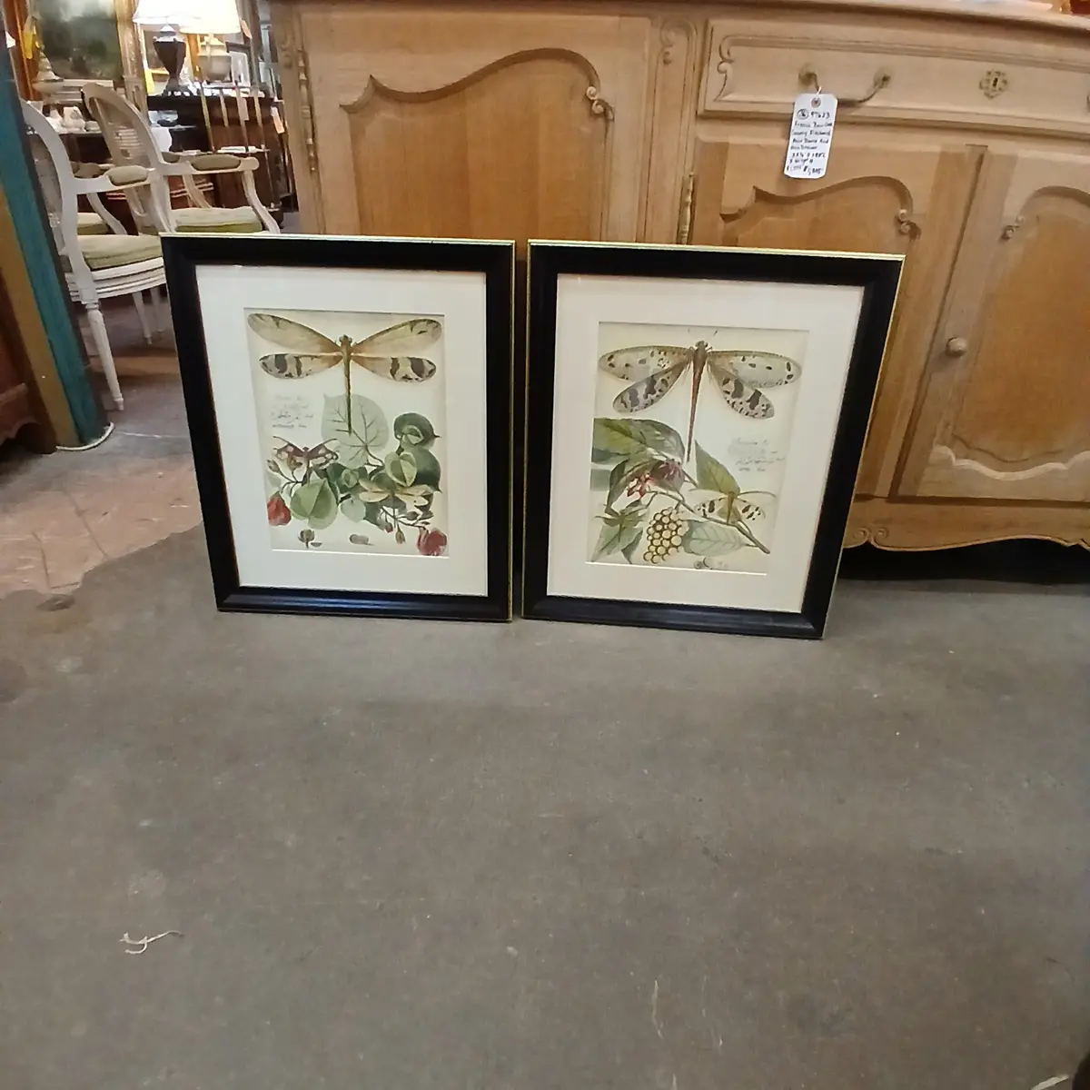 Pair Of Dragon Fly Prints Not Old 1