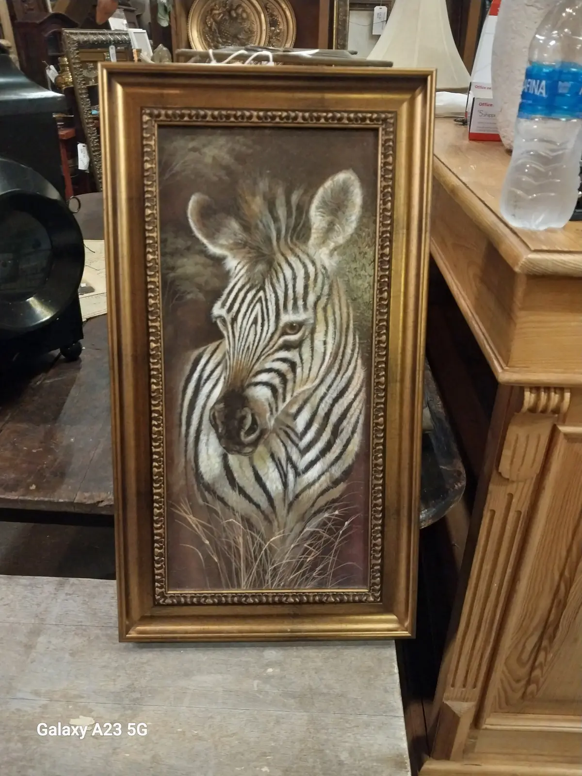 Small Framed Zebra Giclee 1