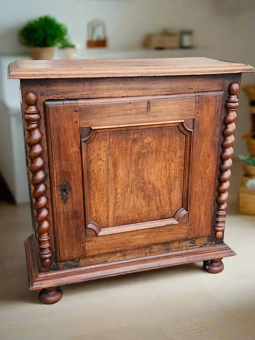 Louis Xiii Oak Single Door Cabinet With Barley Twist Pillasters 1