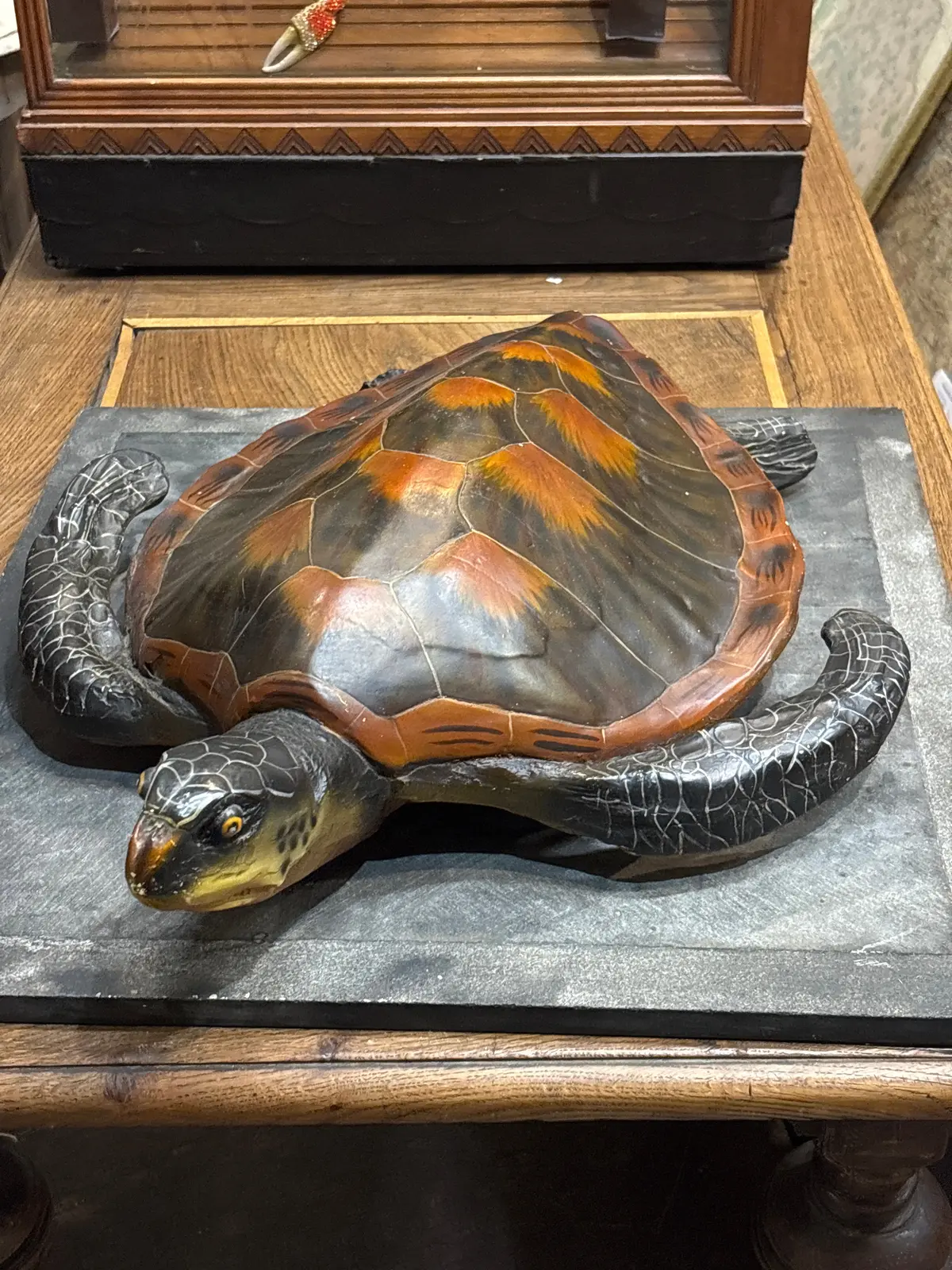 Resin Sea Turtle 1