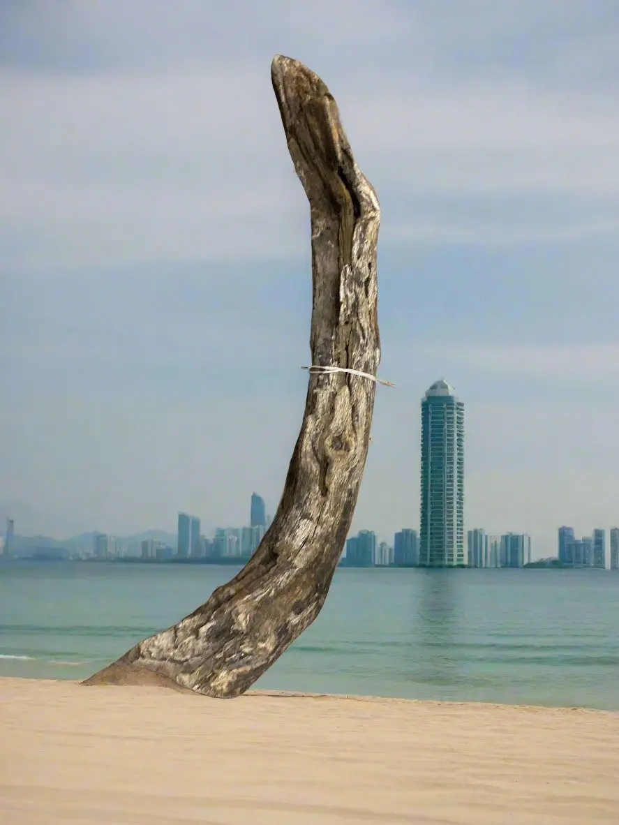 Rough Driftwoood 1