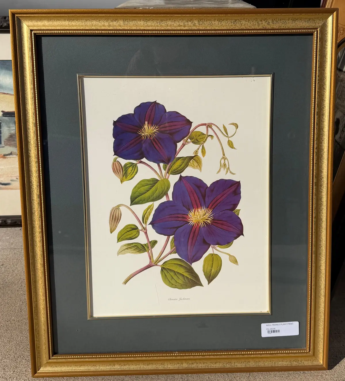 Well Framed Plant Print 1