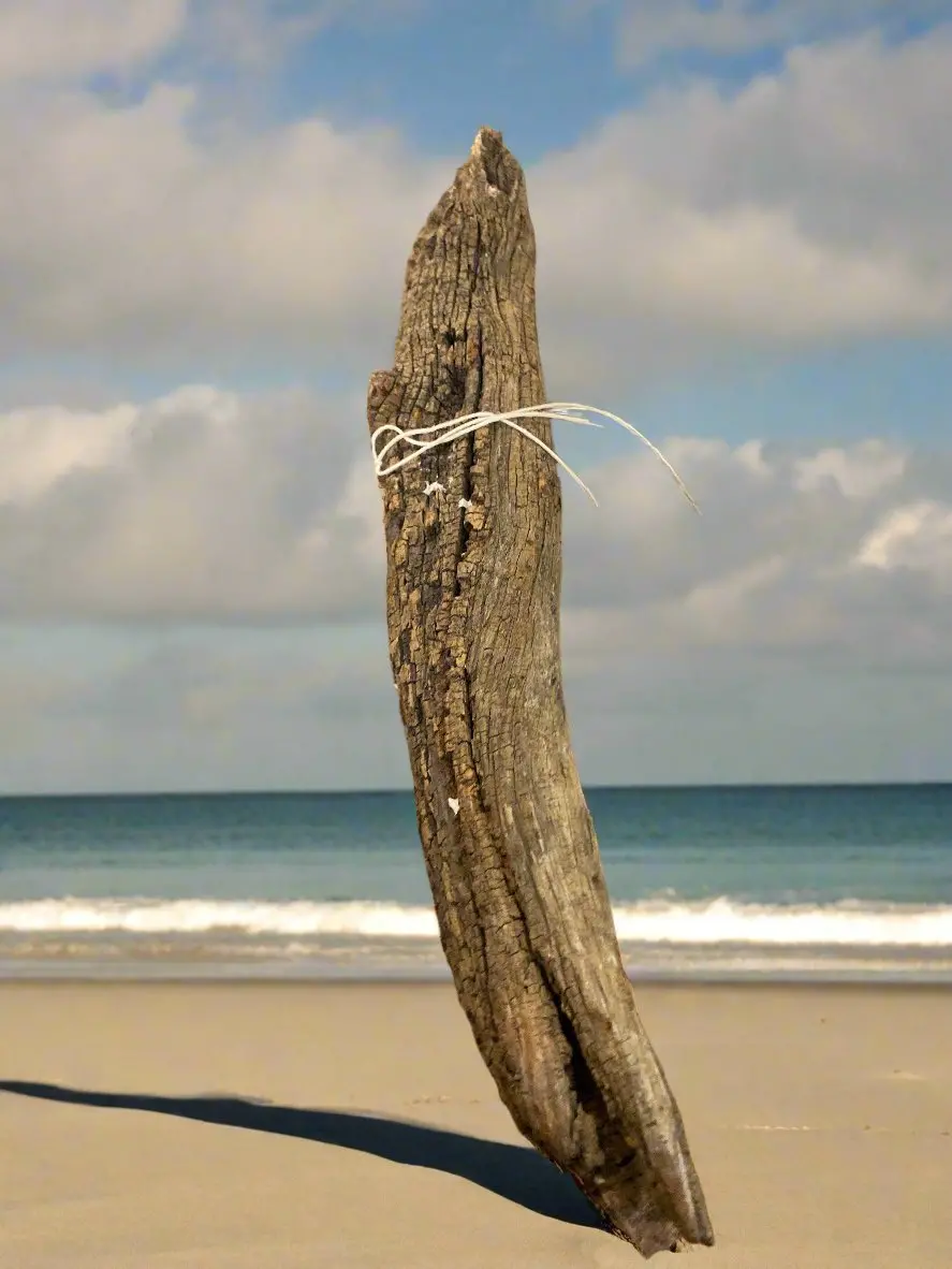 Driftwood Bark O 1