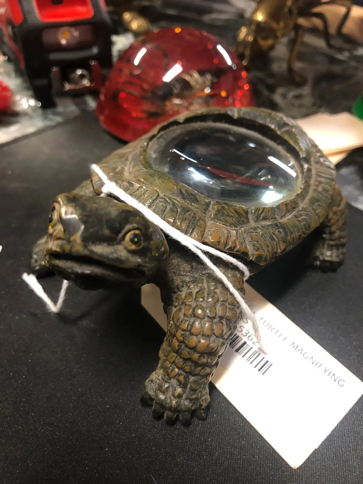 Small Turtle Magnifying Glass 1