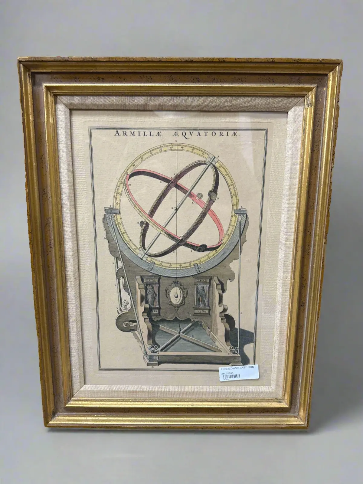 Framed Amillary Print 1