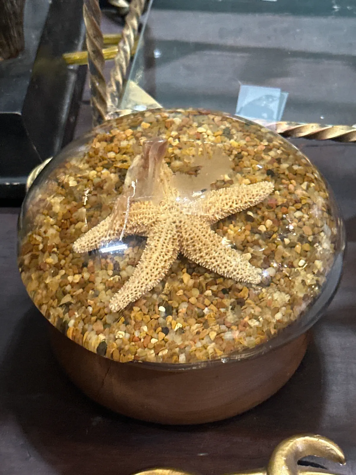 Vintage Starfish Paper Weight 1