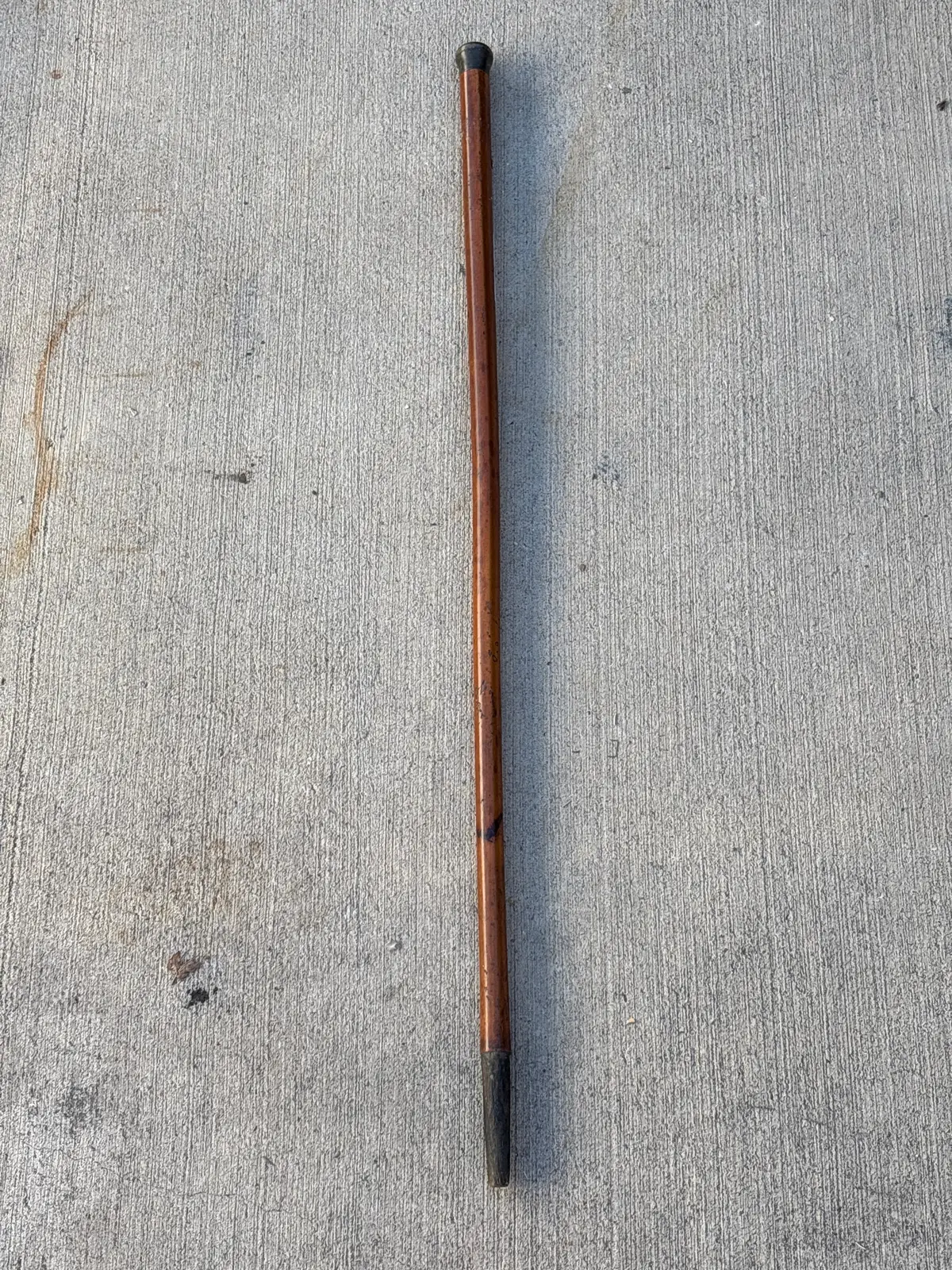Straight Walking Stick 1
