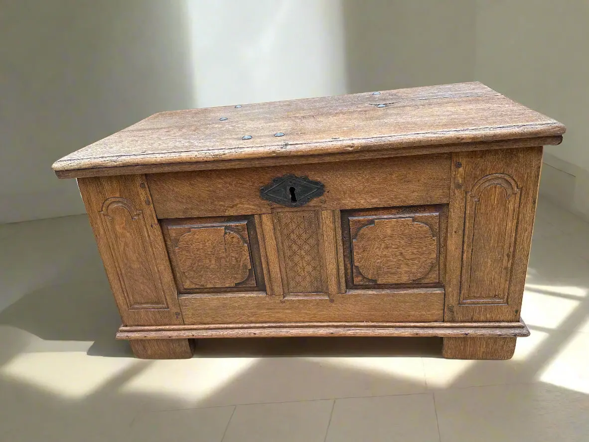 Small Early Dark Oak Paneled  Coffer 1