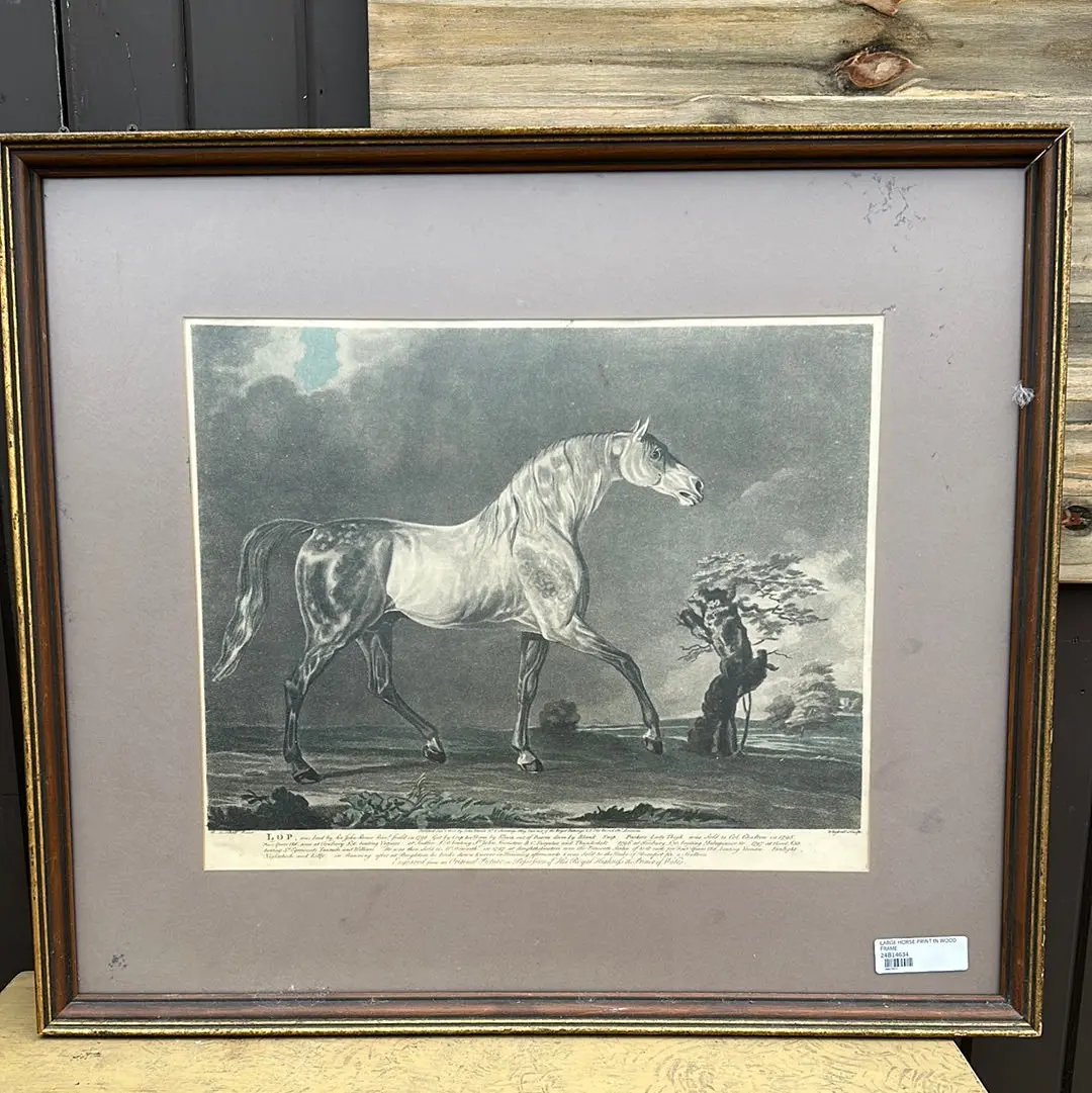 As Found Large Horse Print In Wood Frame 1