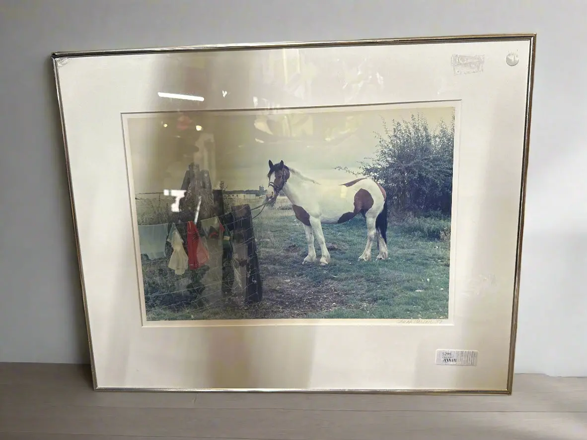 Sarah Carson (Dallas Listed Photos) 1