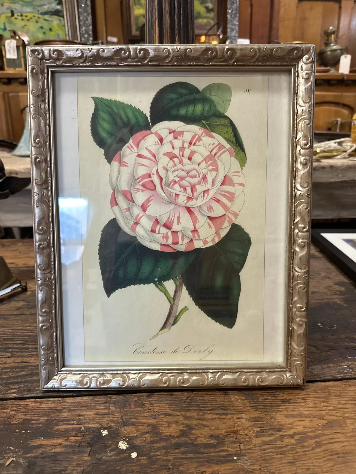 Framed Flower Print 1