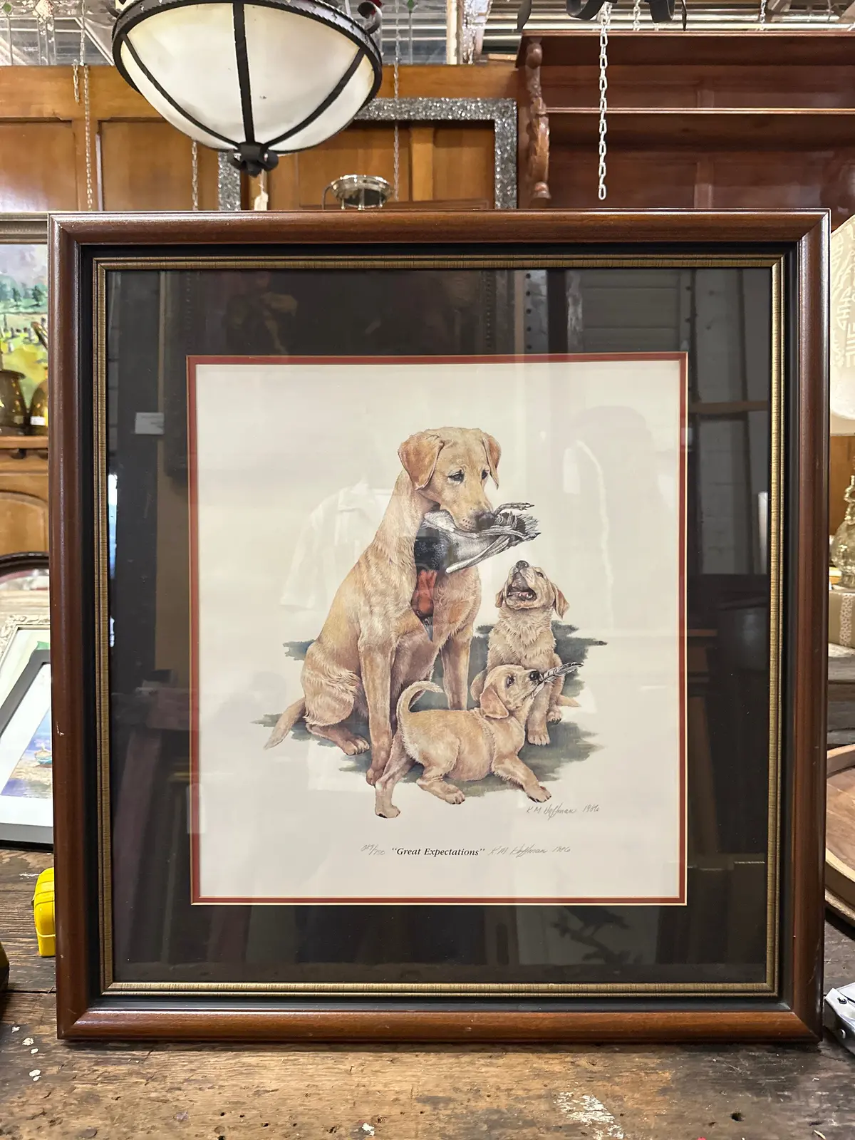 Great Expectations Yello Labrador With Poppies Print 1