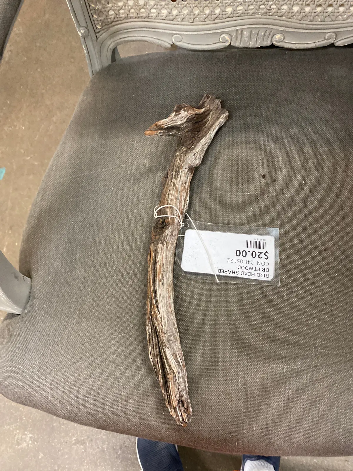 Bird Head Shaped Driftwood 1