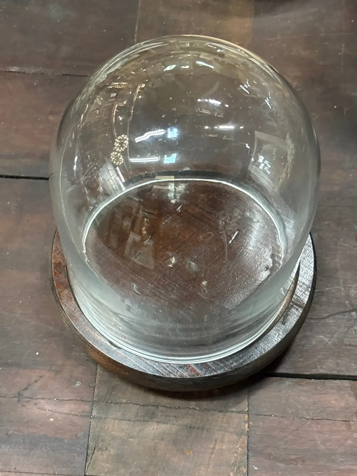 Pair Of Small Domes With Brown Wood Base 1