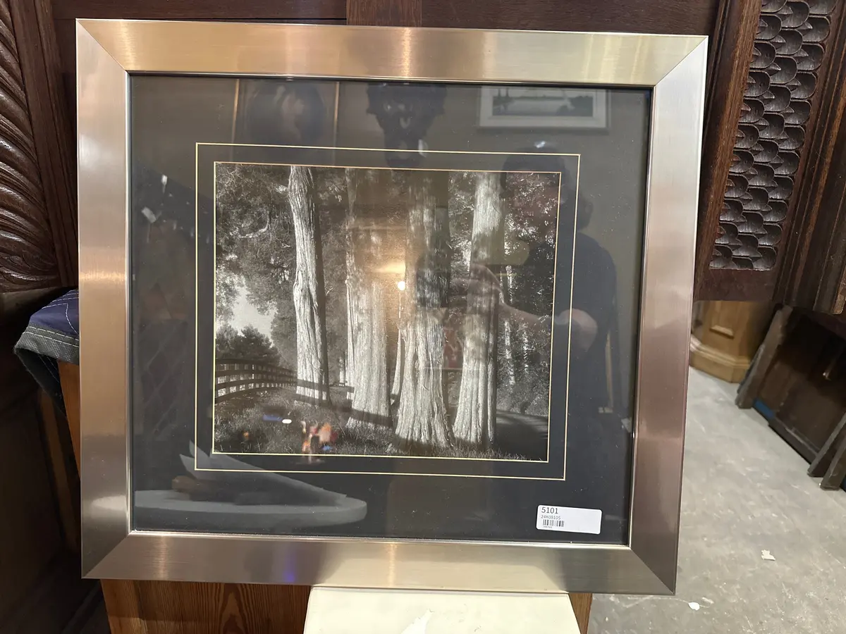 Silver Framed Photo Print Of Trees 1