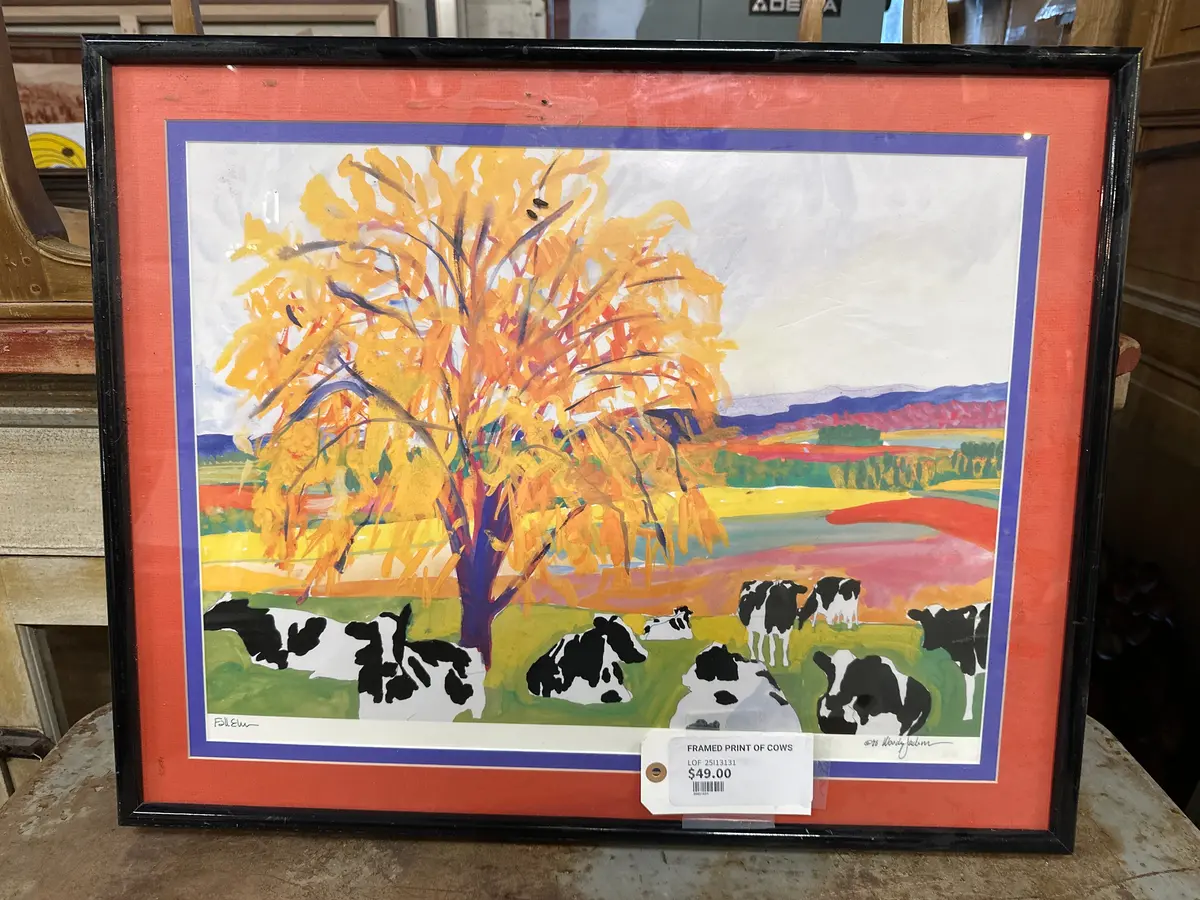 Framed Print Of Cows 1