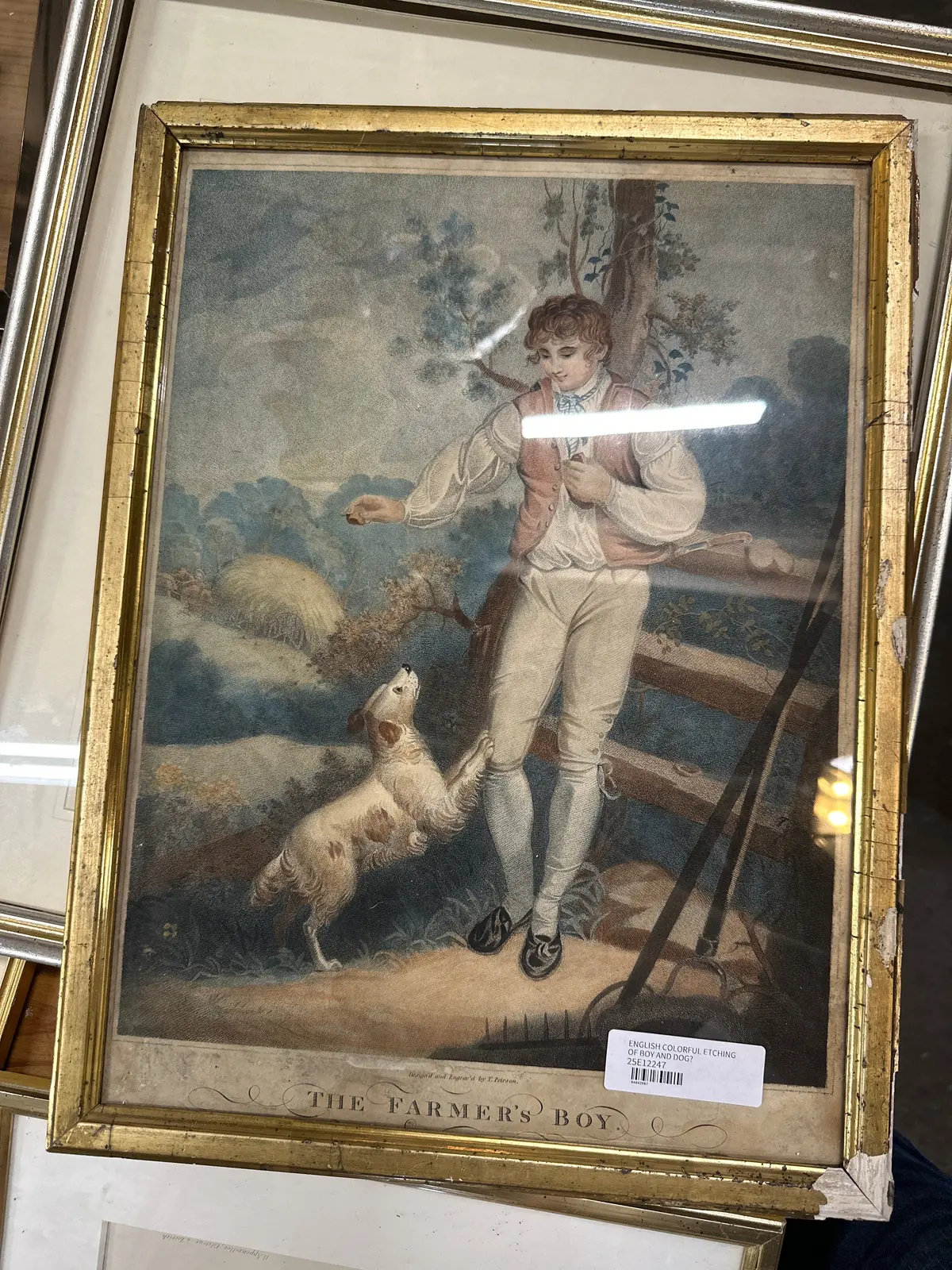 Colorful English Etching Of Boy And Dog 1