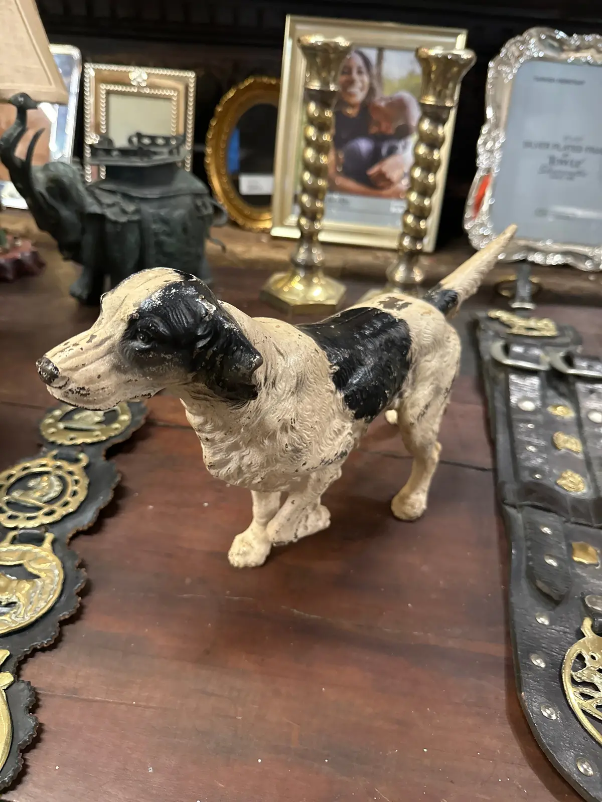 English Iron Springher Spaniel 1