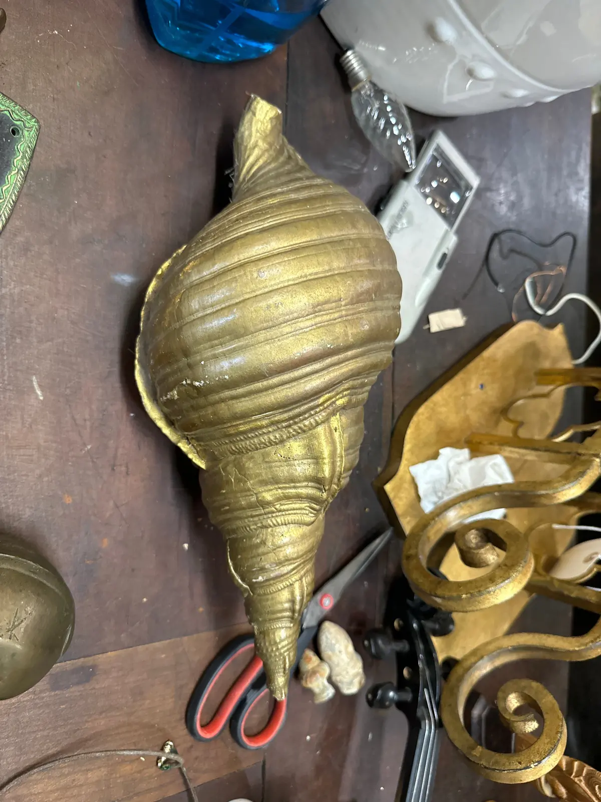 Large Gold Shell 1