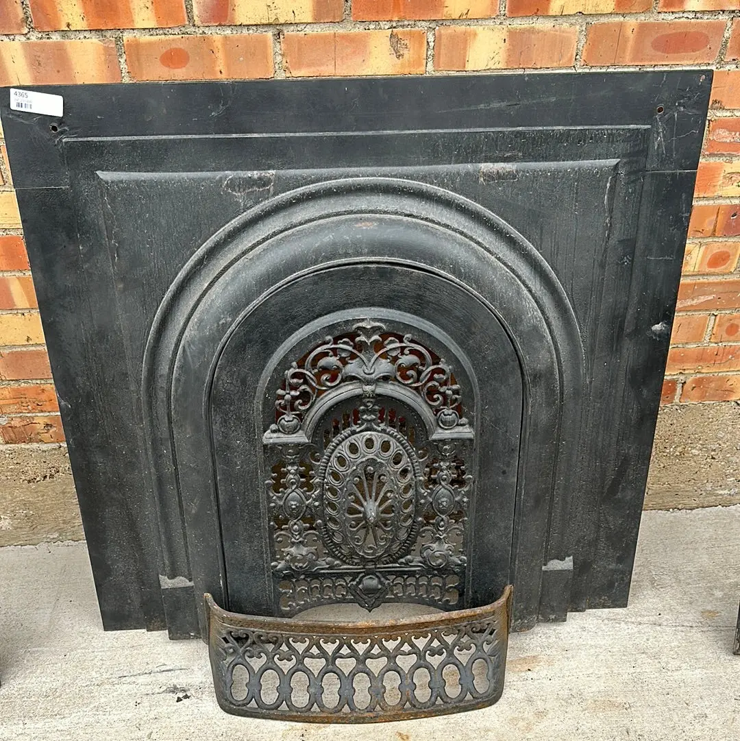 Cast Iron Fire Place Screen 1
