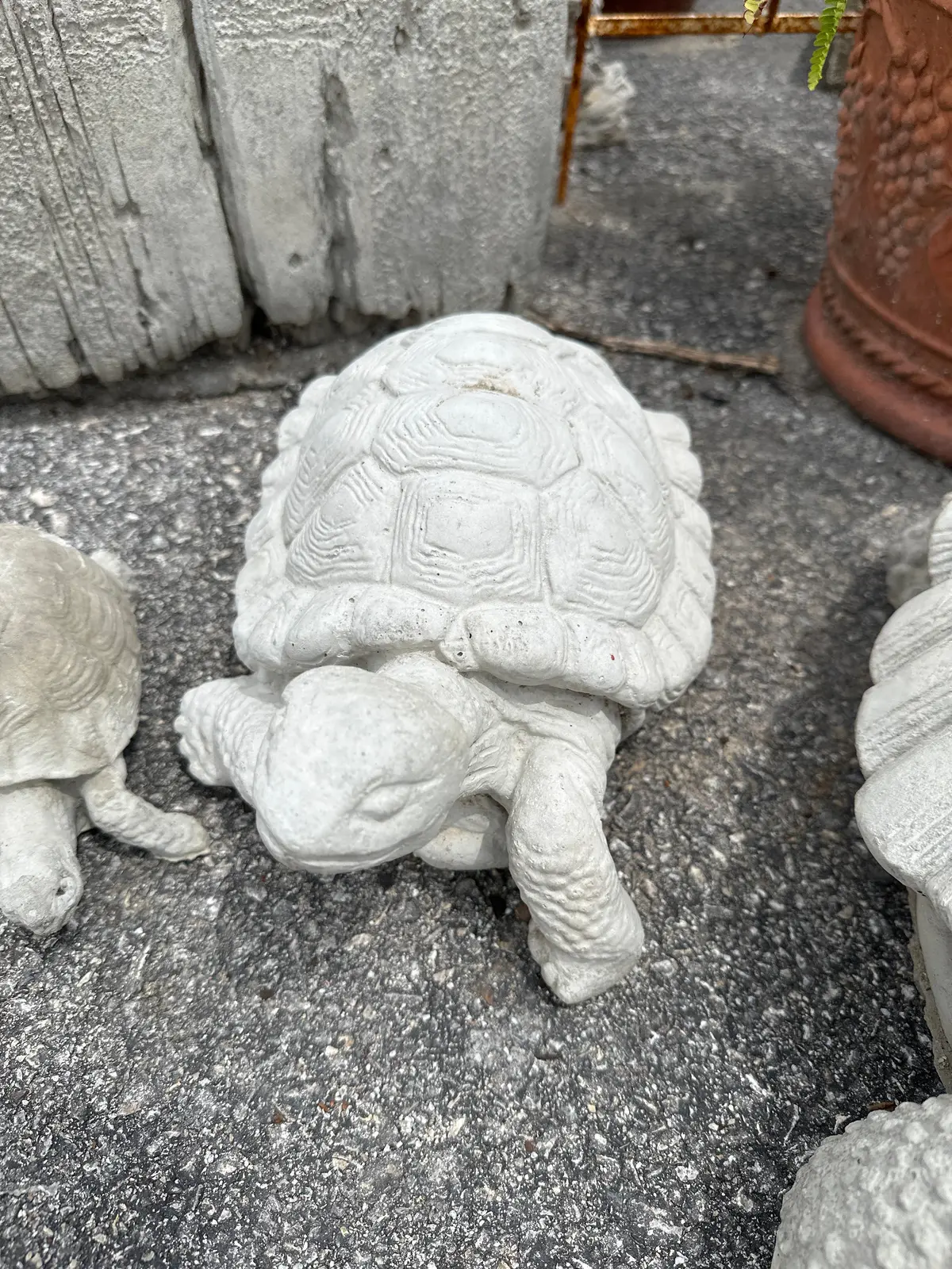 Large Concrete Turtle 1