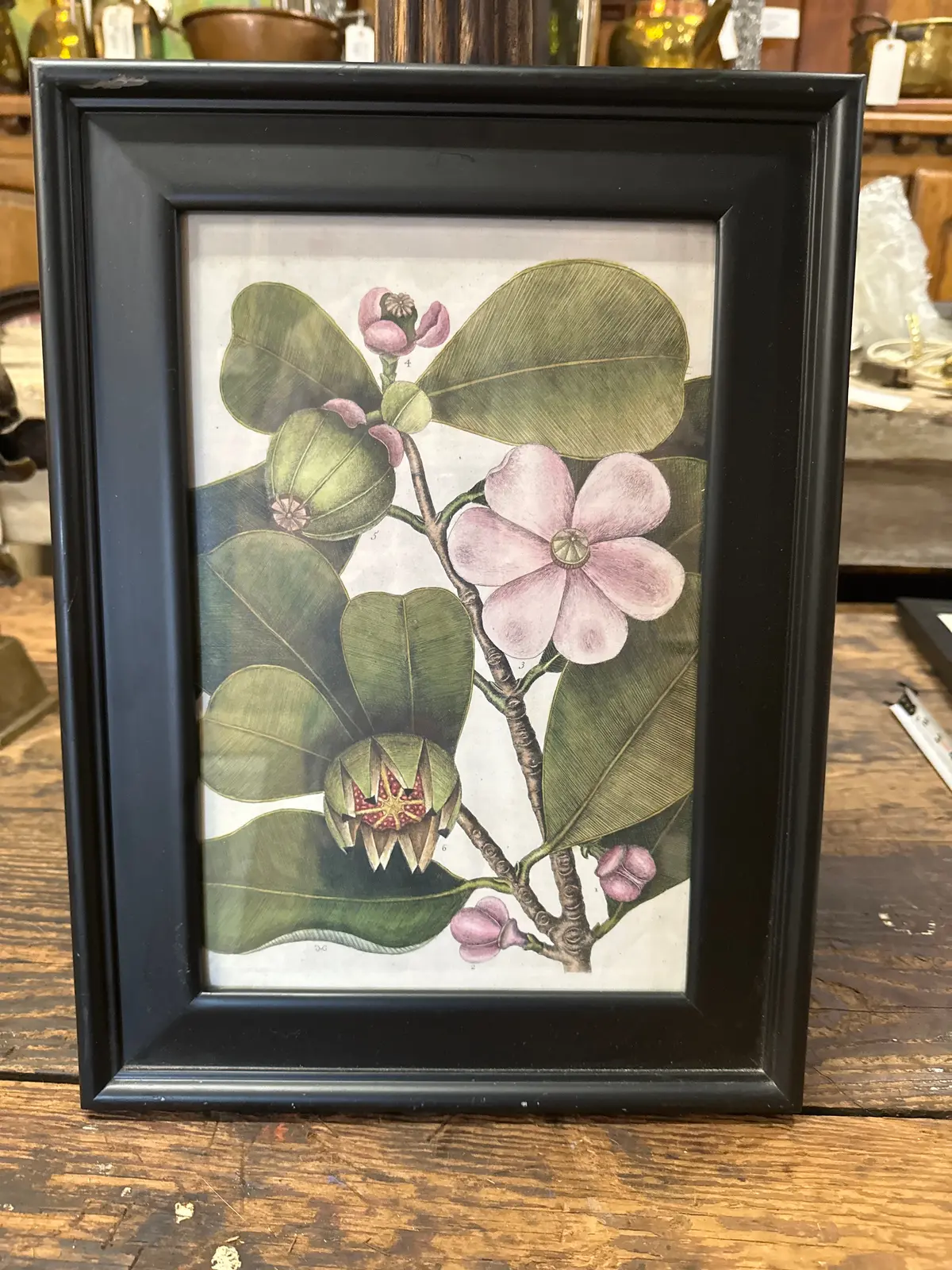 Framed Flower Print 1