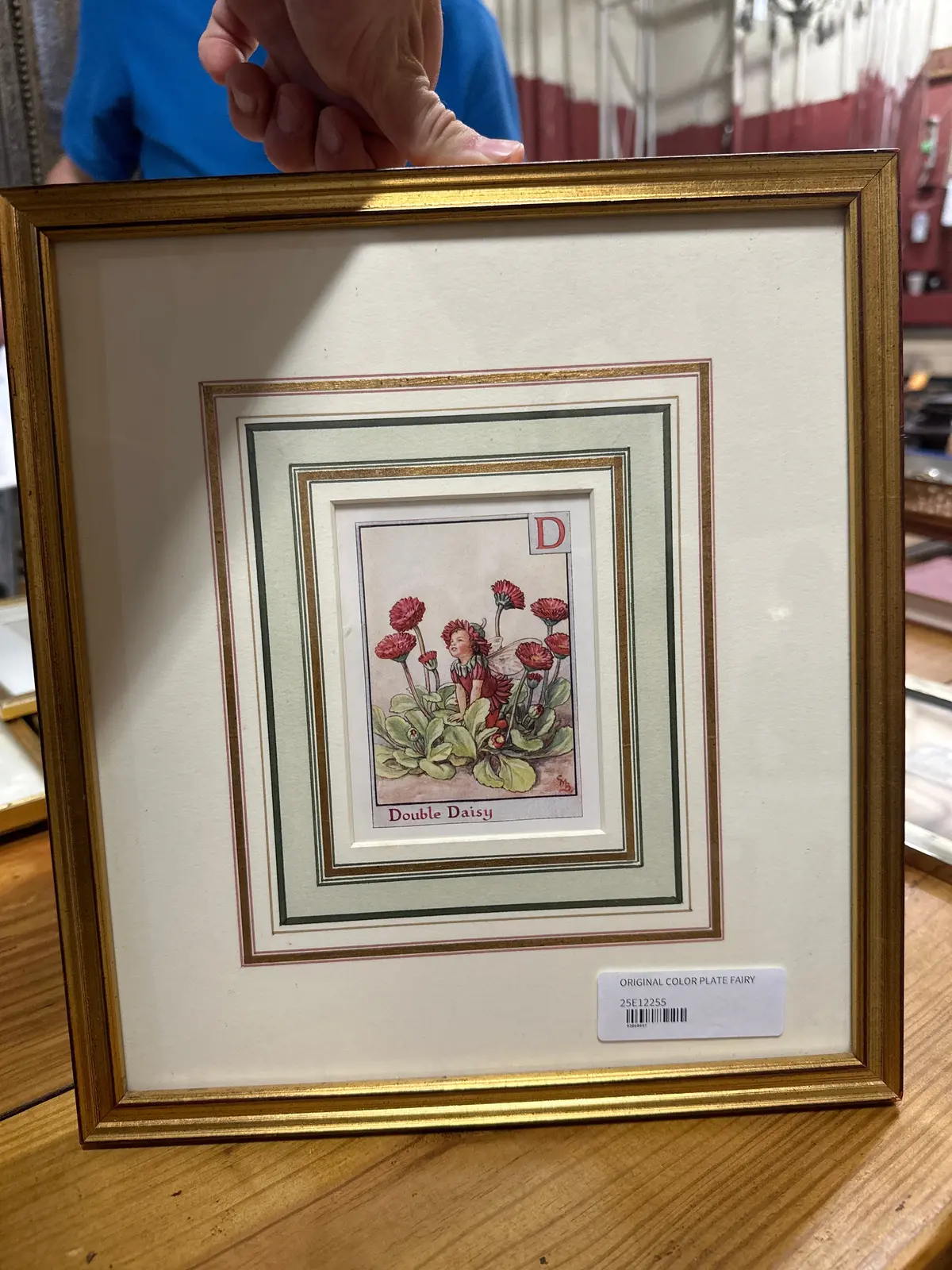 Original Color Plate Fairy 1