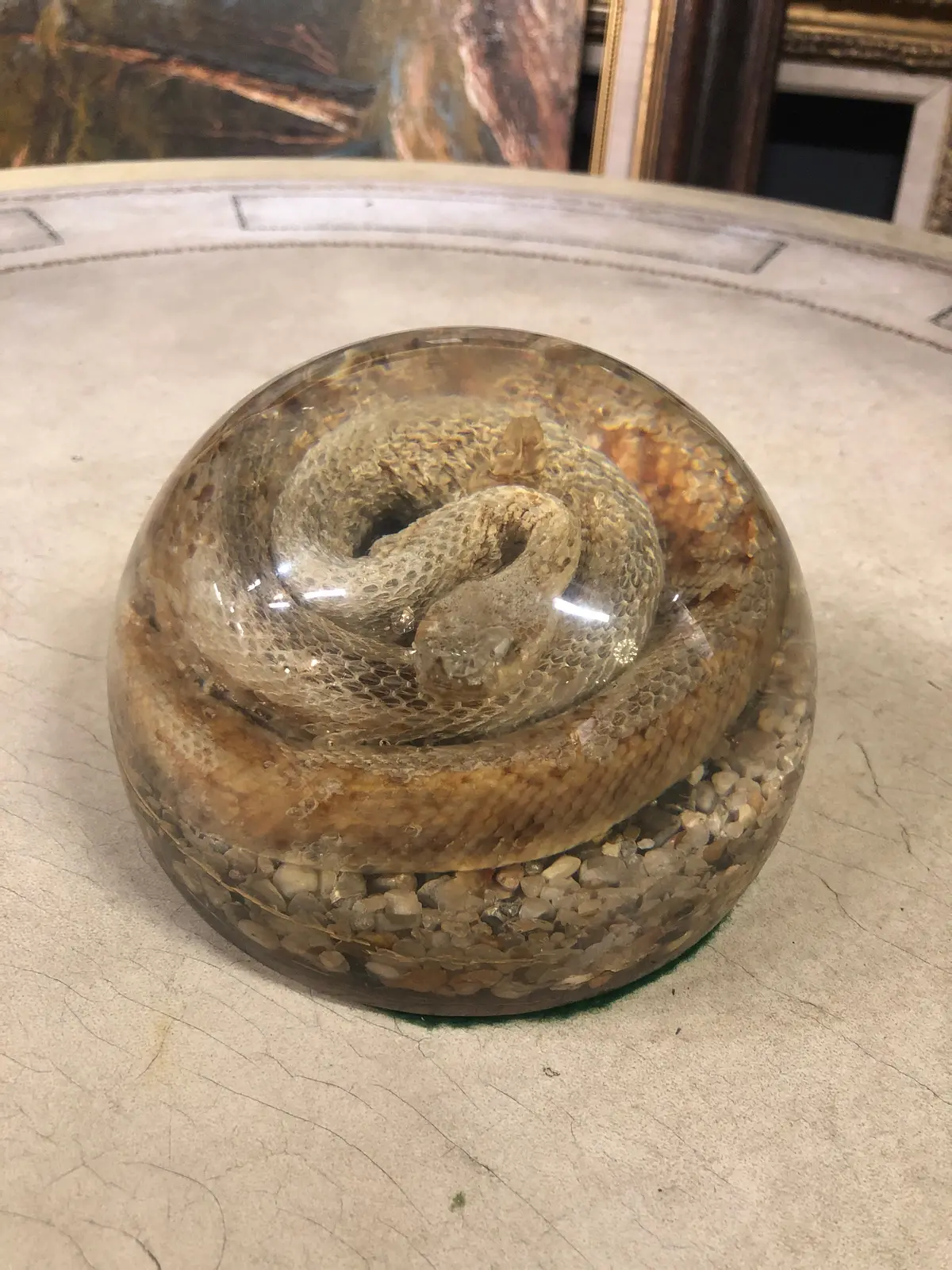 Snake Paperweight 1