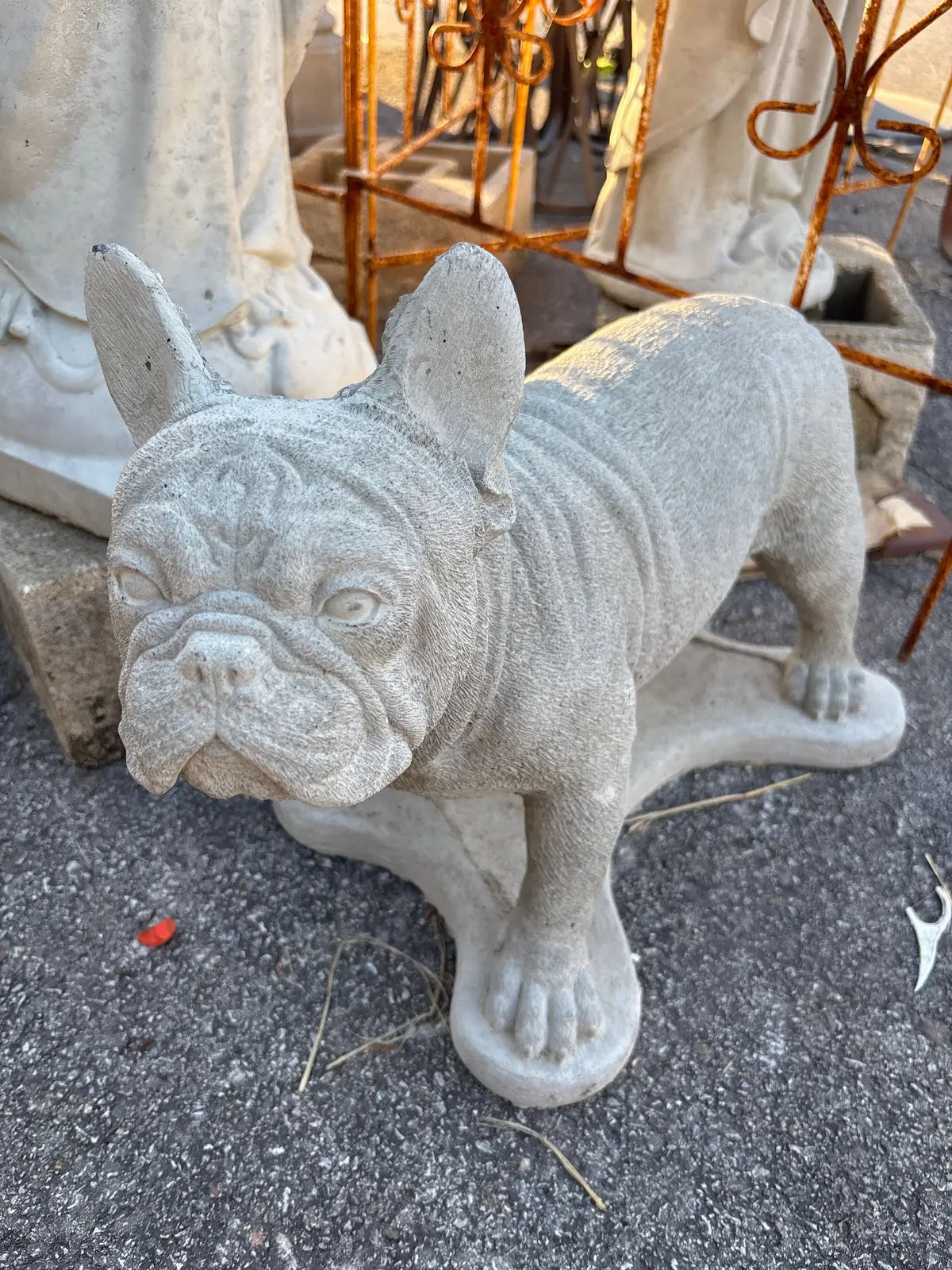 Concrete French Bulldog 1