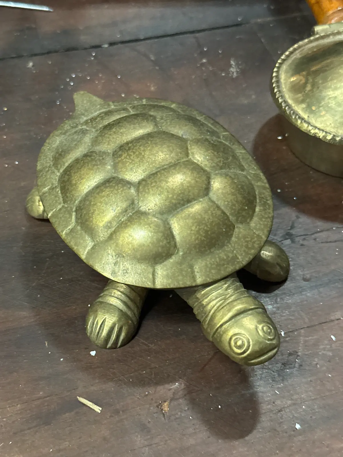 Brass Turtle Box 1