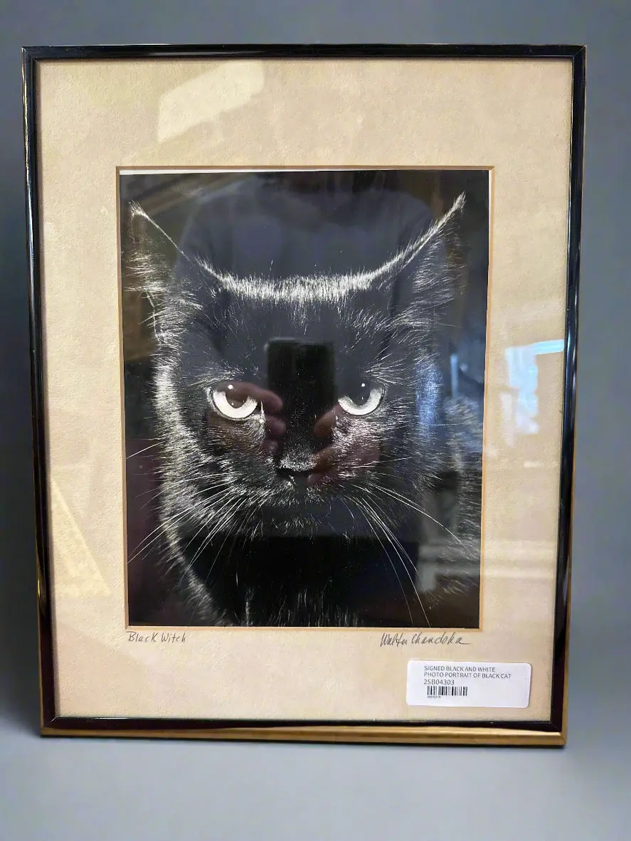 Signed Black And White Photo Portrait Of Black Cat 1