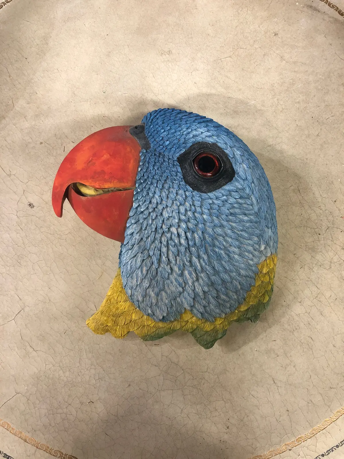 Resin Parrot Head 1