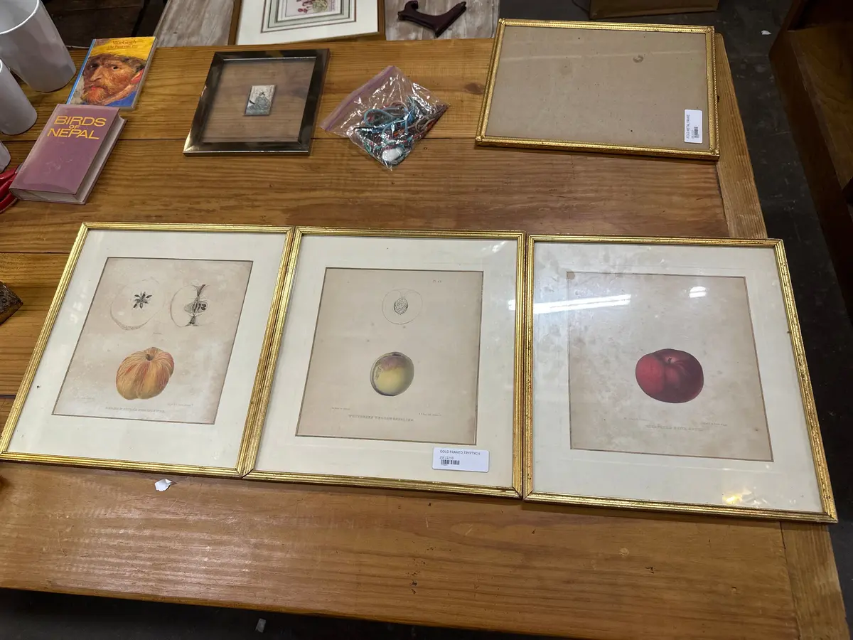 Gold Framed Fruit Tryptich 1
