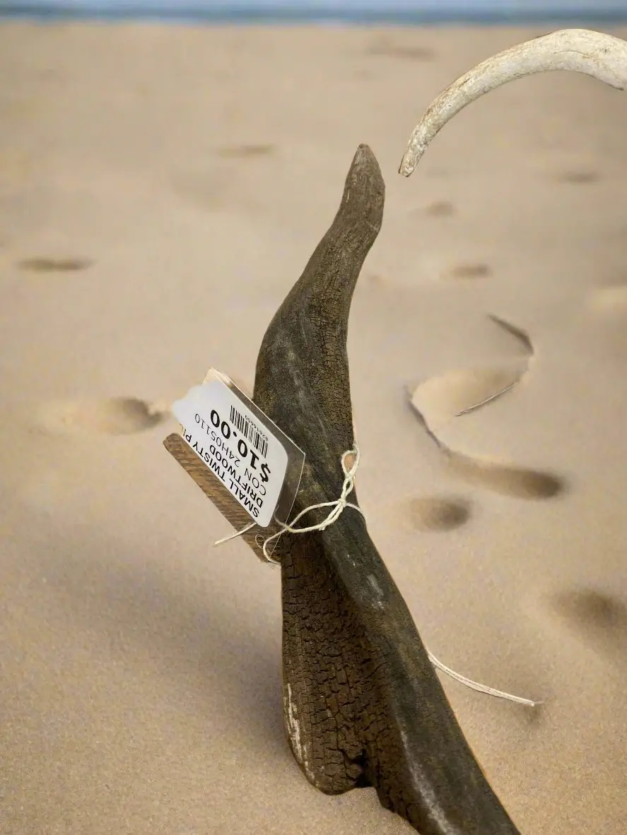 Small Twisty Pice Of Driftwood 1