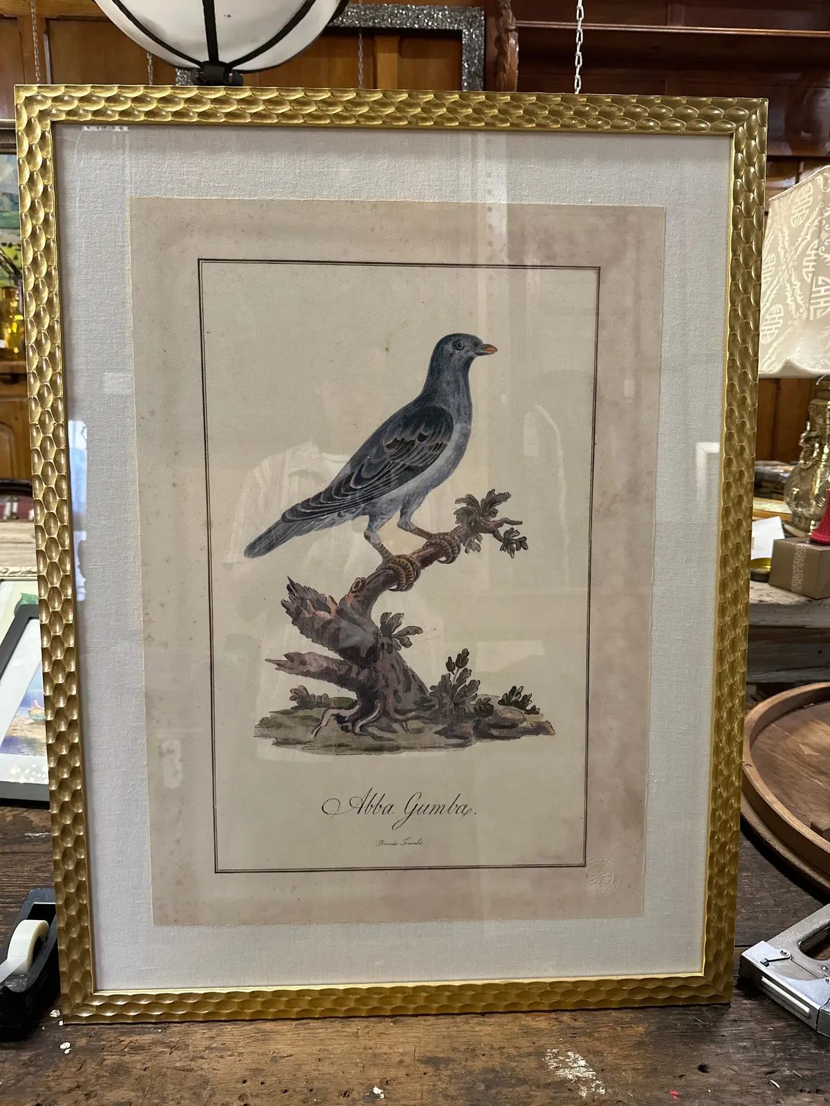 Large Gold Frame Antique Bird Engraving 1