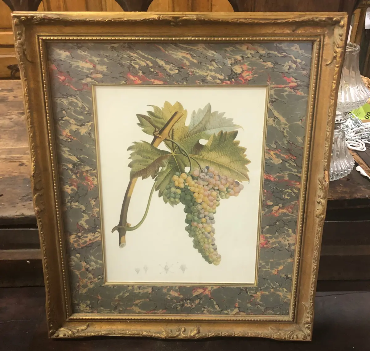 Vintage Grapes Print 1