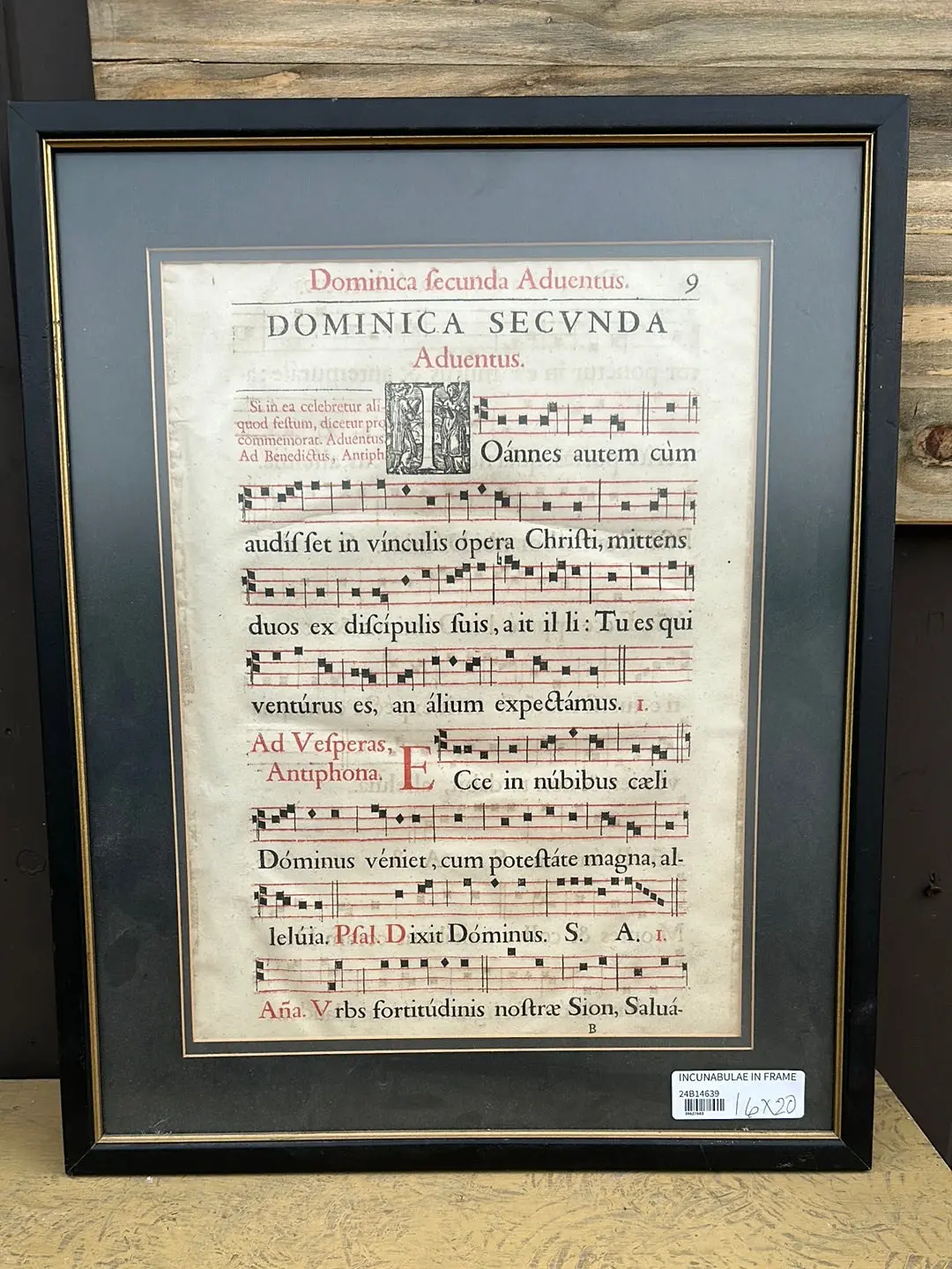 Incunabulae In Frame 1