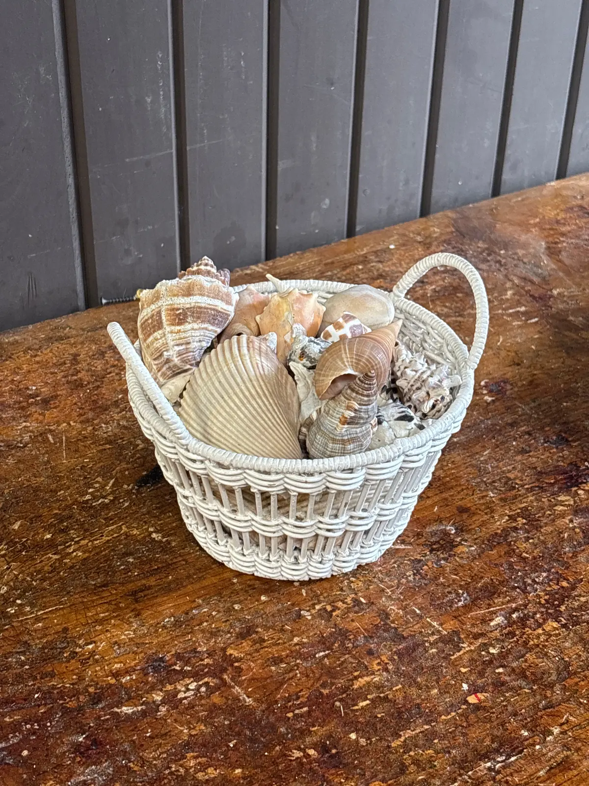 Big Lot Of Seashells In White Basket 1