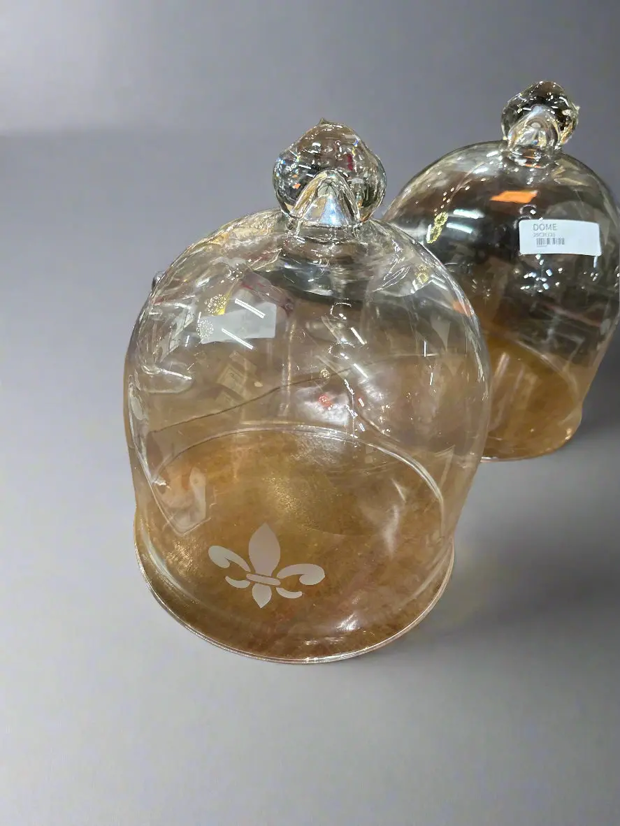 Glass  Dome With Handle 1