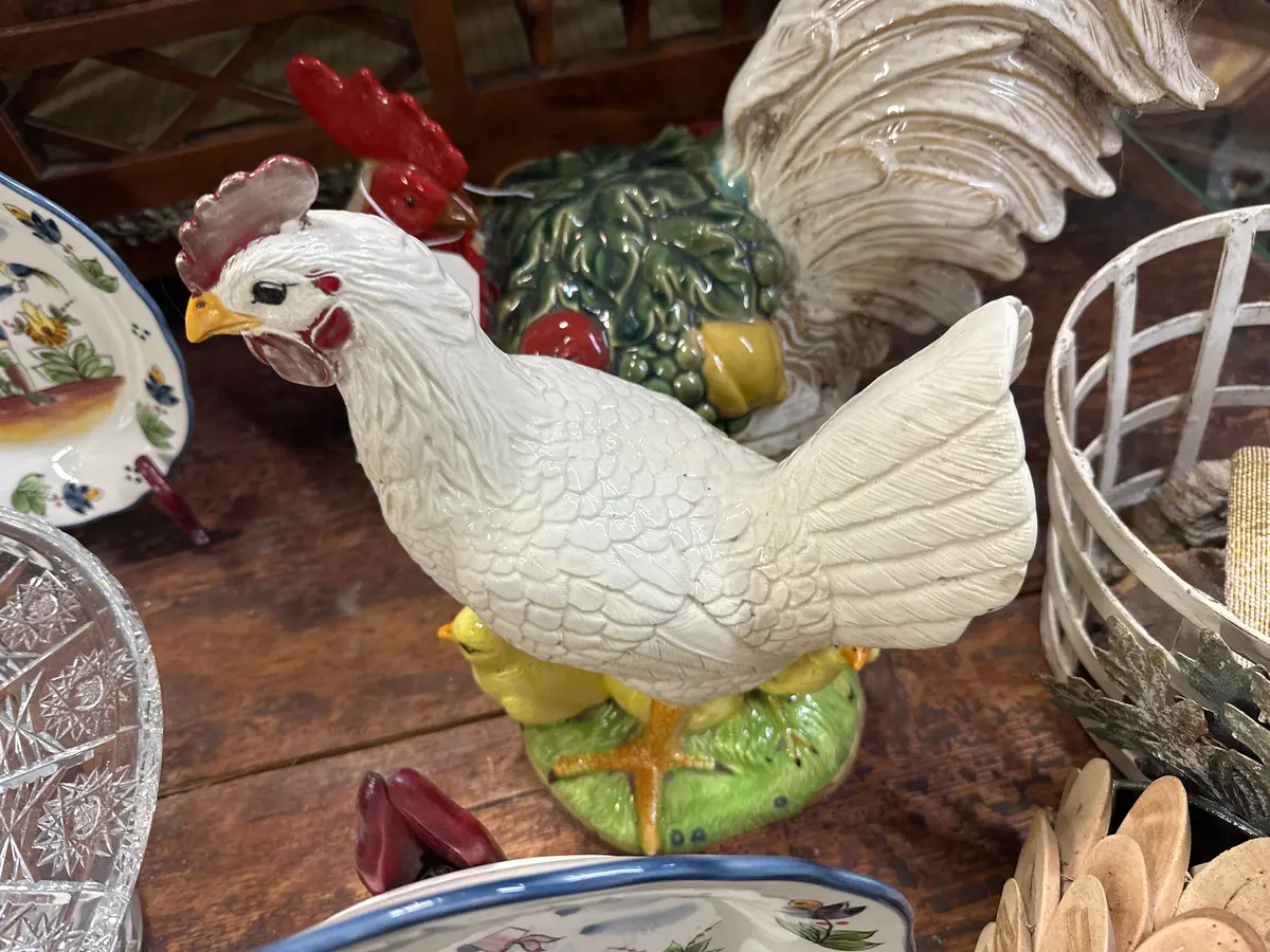 Hen With Chicks 1