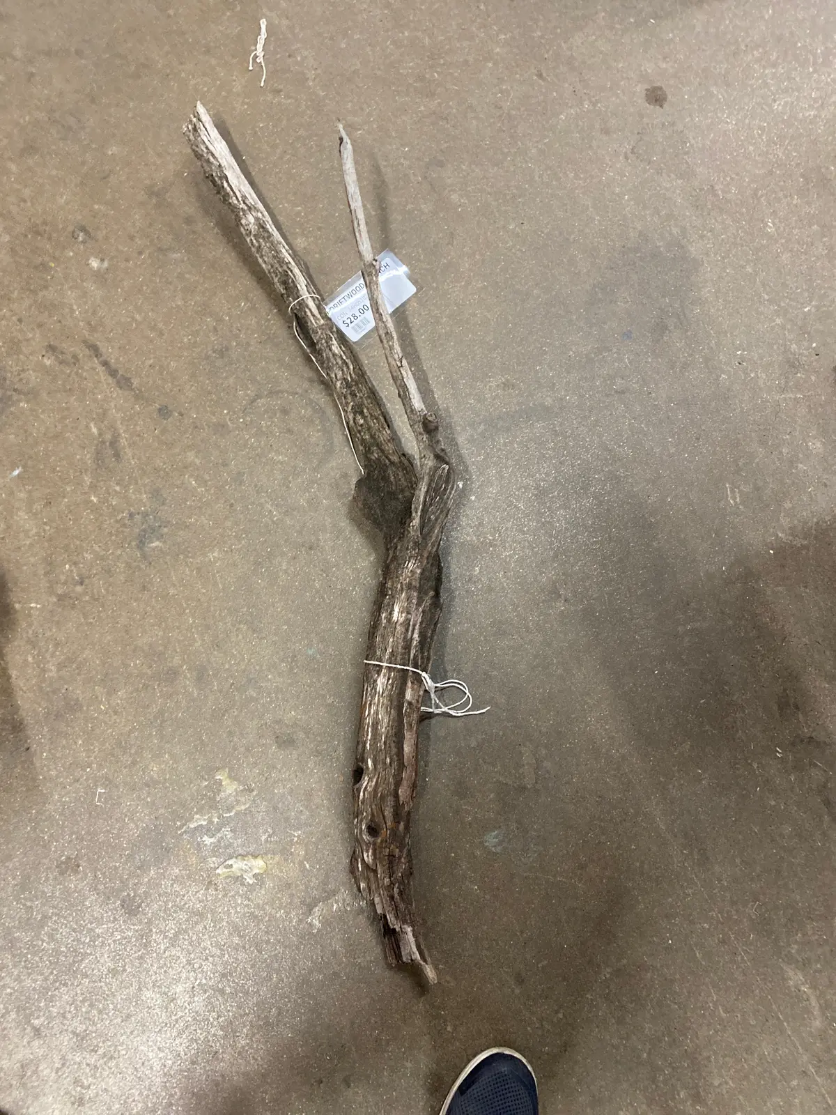 Driftwood Branch 1