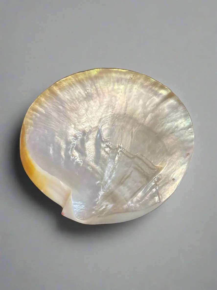Abalone Shell Dish 1