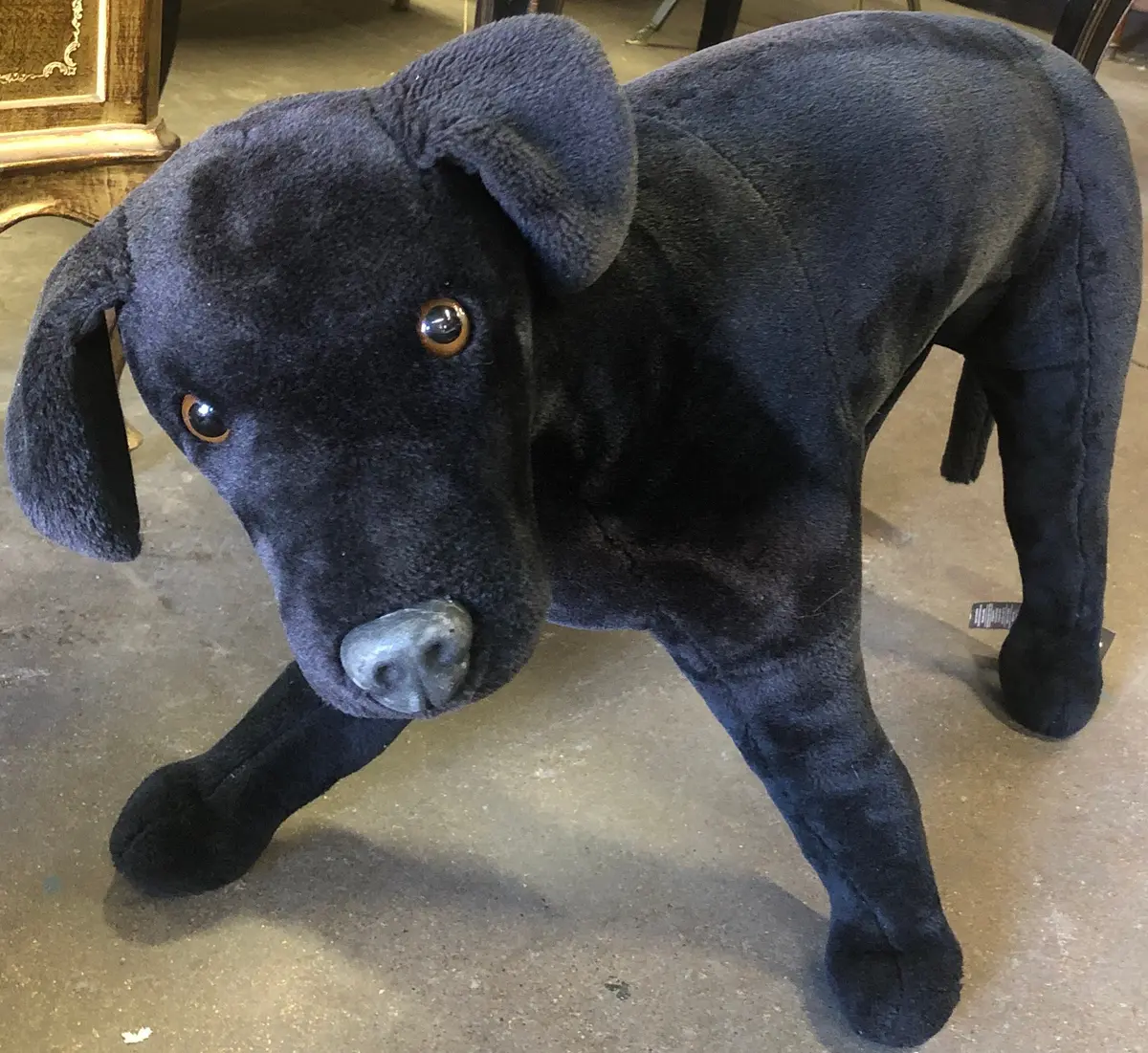 Black Stuffed Dog 1