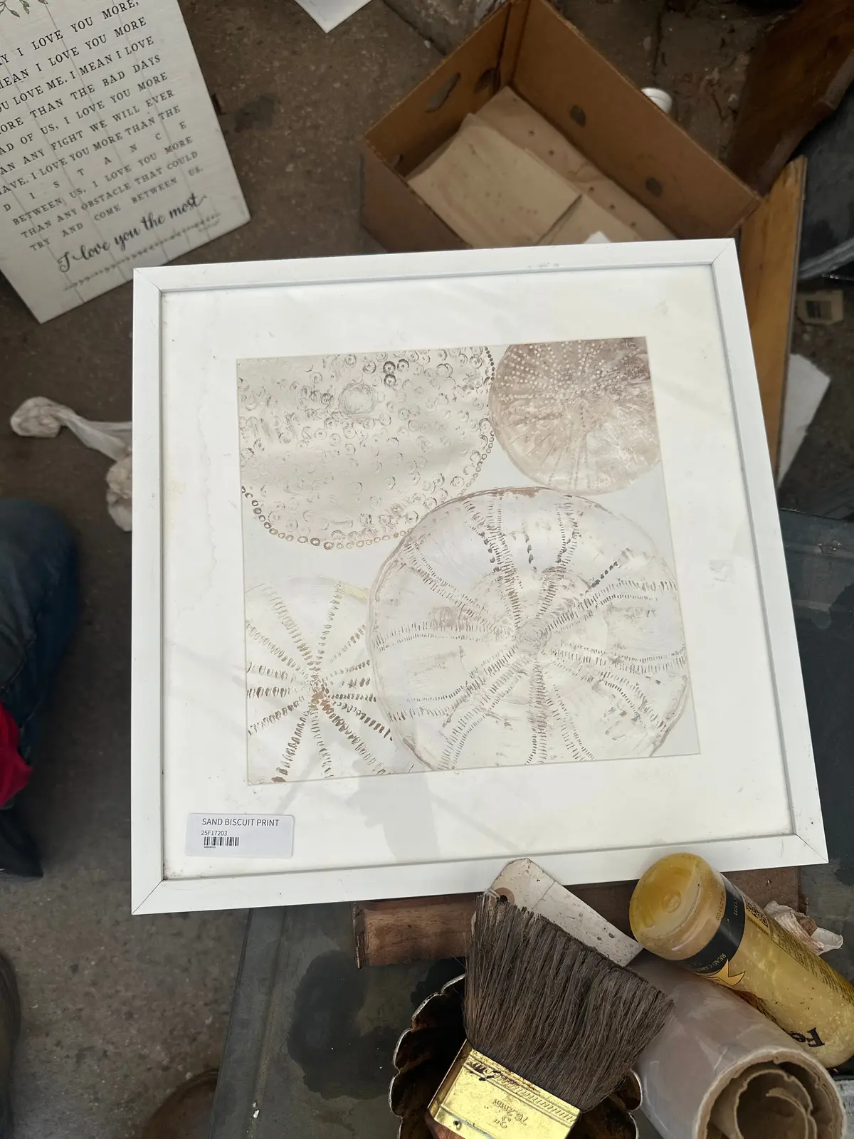 Sand Biscuit Print 1