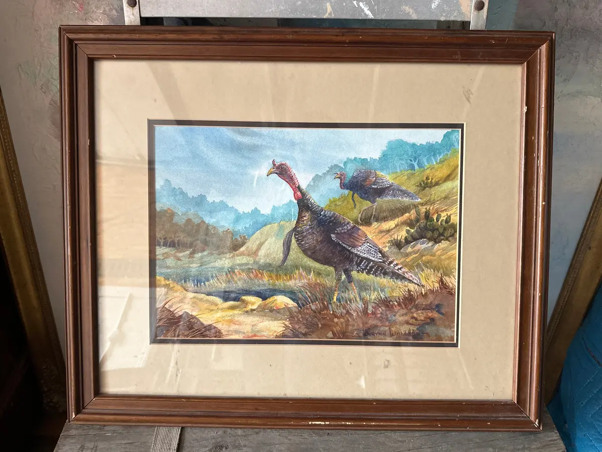 Framed Water Color "Hill Country Gobler" By Dr. Barton Williams 1