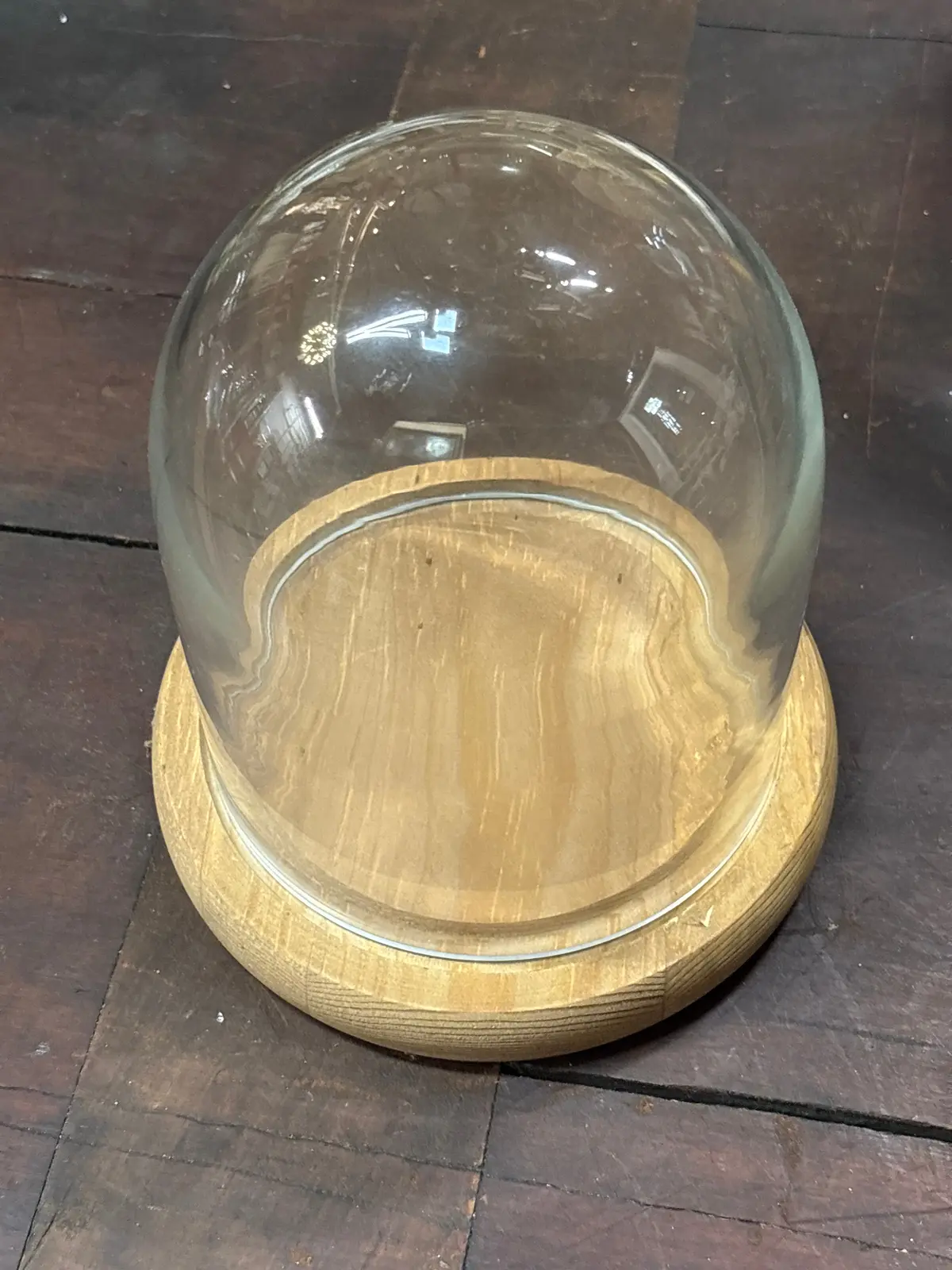 Small Dome With Light Wood Base 1