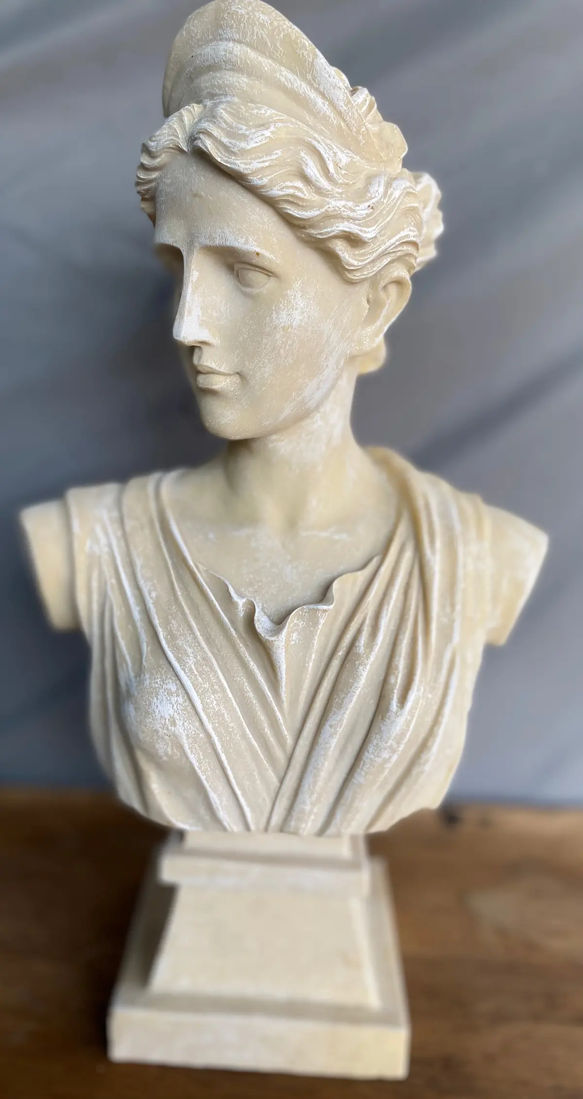 Female Bust With Hole In Arm 1