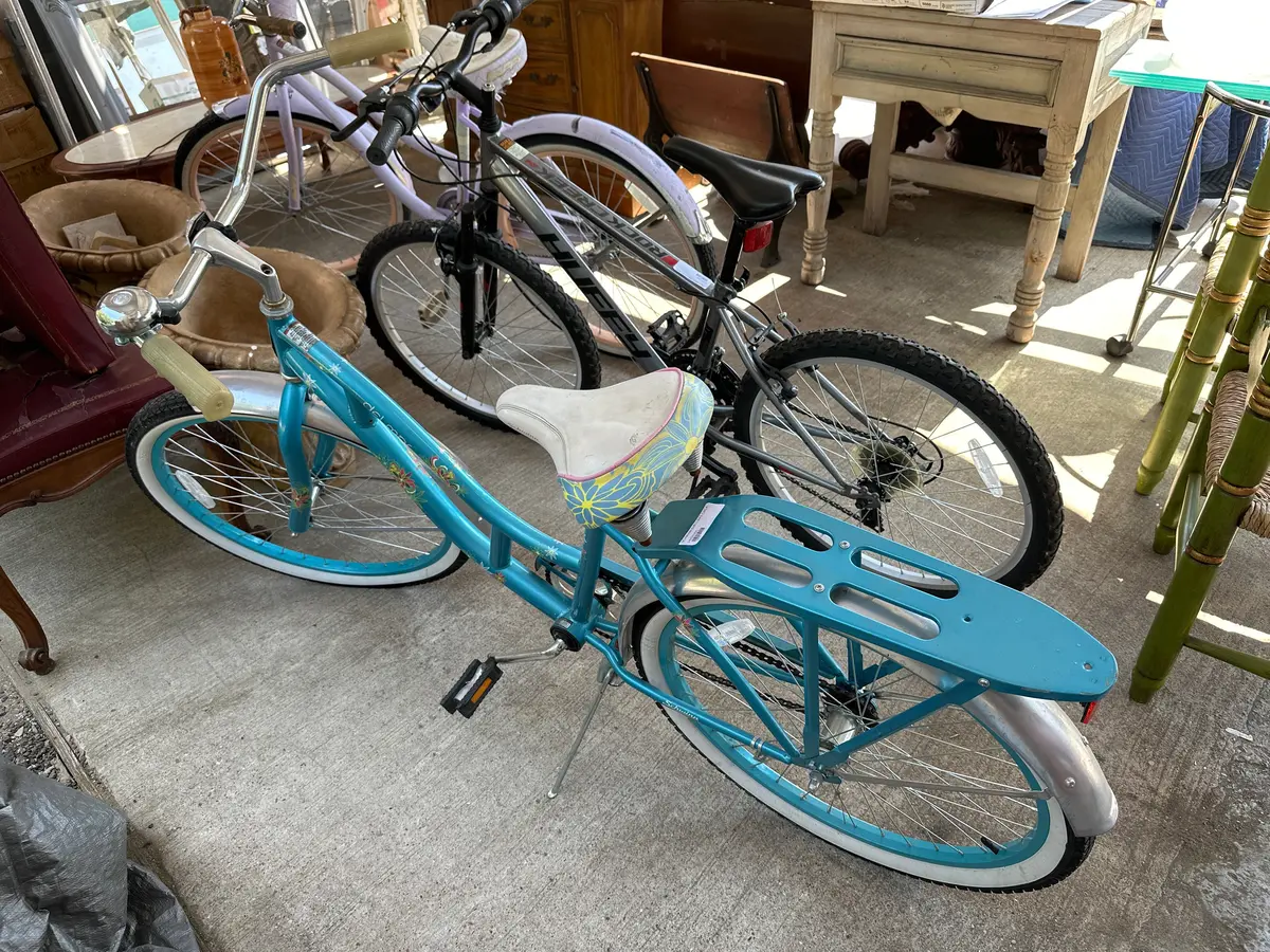 Schwinn Girls Bike 1