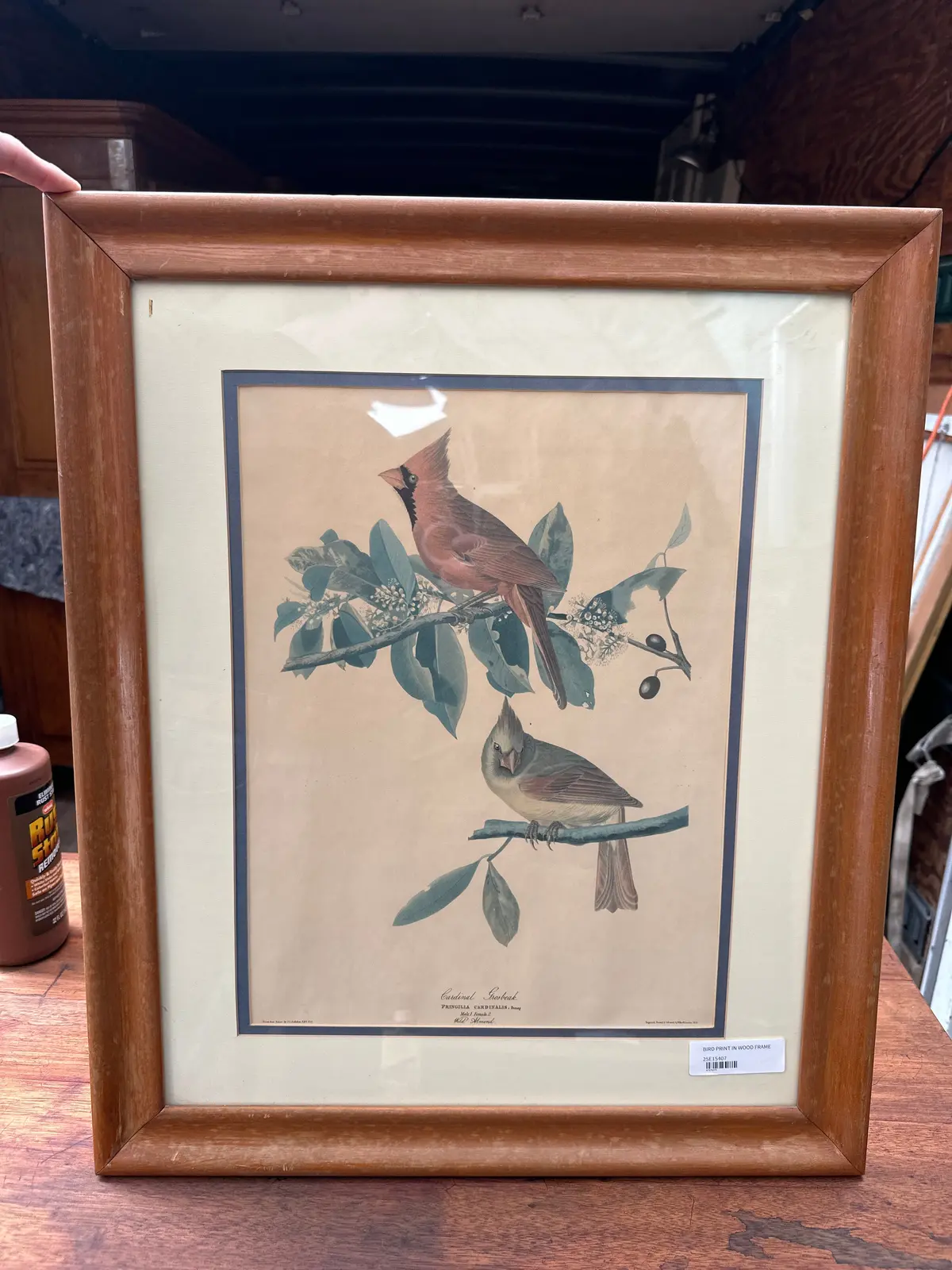 Bird Print In Wood Frame 1