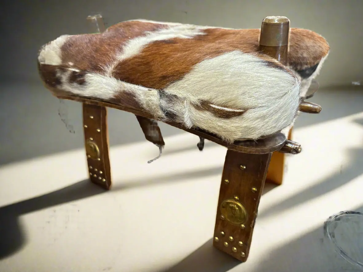 Camel Stool With Cowhide 1